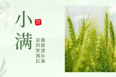 諾海化工 | 物迎夏熟，恰人生小得盈滿