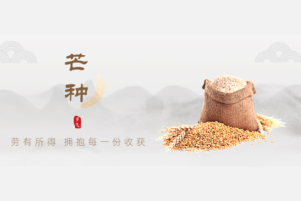 諾?；?| 芒種，始于希望，結于豐盈