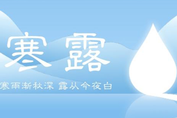   諾?；?| 深秋漸至，寒露滿枝
